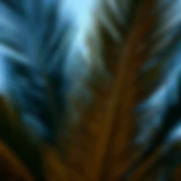 Magnificent Exploring Large Palm Leaves Artificial: A Comprehensive Guide