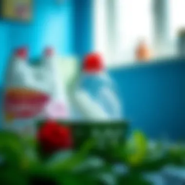 Magnificent The Significance of Detergent Containers in Fashion Care
