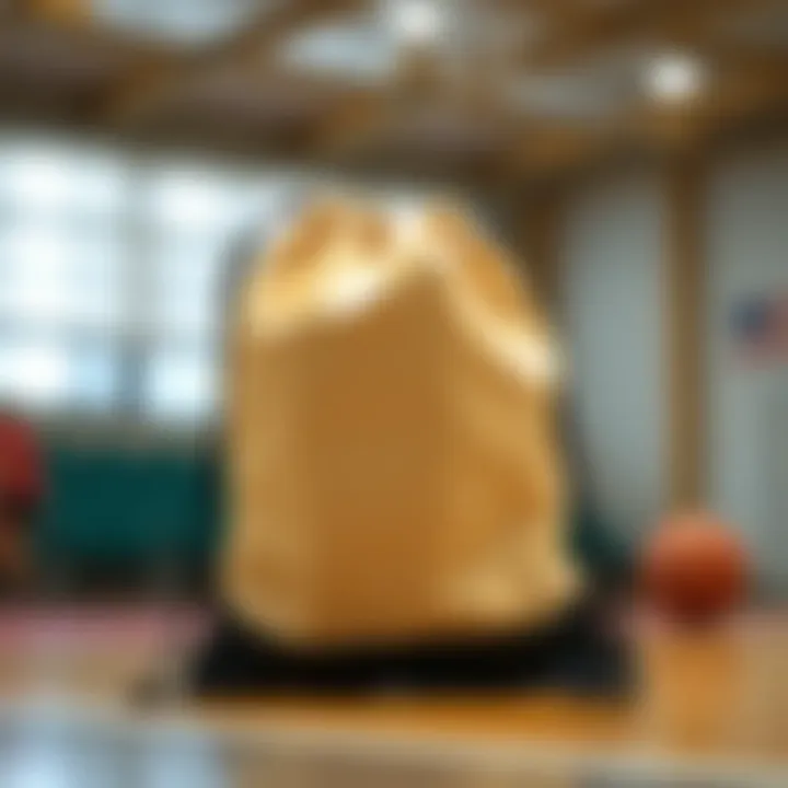 Notable Comprehensive Guide to Choosing the Right Drawstring Bag for Basketball