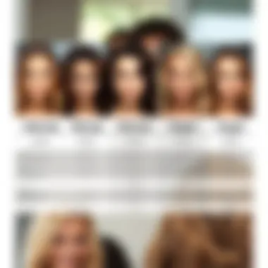 Comparison of hair types and recommended temperature settings