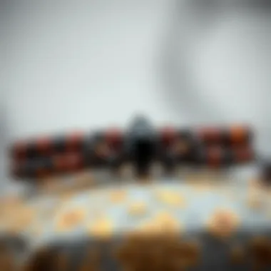 Exploring Lava Rock Diffuser Bracelets: The Intersection of Fashion and Functionality Summary Exploring Lava Rock Diffuser Bracelets: The Intersection of Fashion and Functionality Summary