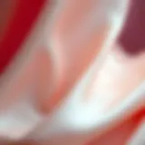 Exploring Milk Silk Fabric: A Comprehensive Overview Introduction