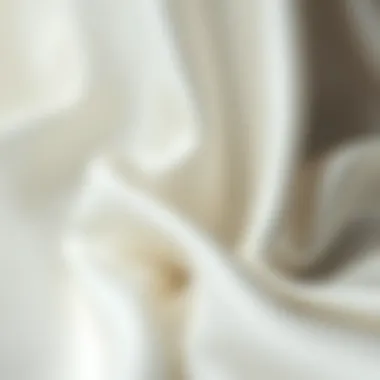 Notable Exploring Milk Silk Fabric: A Comprehensive Overview