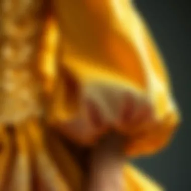 Detailing the Fabric of Elegance Close-up of intricate fabric texture and puff sleeve design