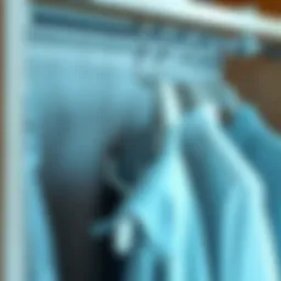 Maximizing Space with Storage-Saving Hangers: An In-Depth Analysis Introduction