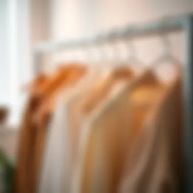 Notable Maximizing Space with Storage-Saving Hangers: An In-Depth Analysis Notable Maximizing Space with Storage-Saving Hangers: An In-Depth Analysis