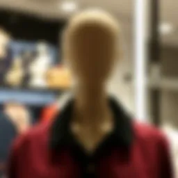 Navigating the Mannequin Purchase Landscape: Insights and Considerations Introduction