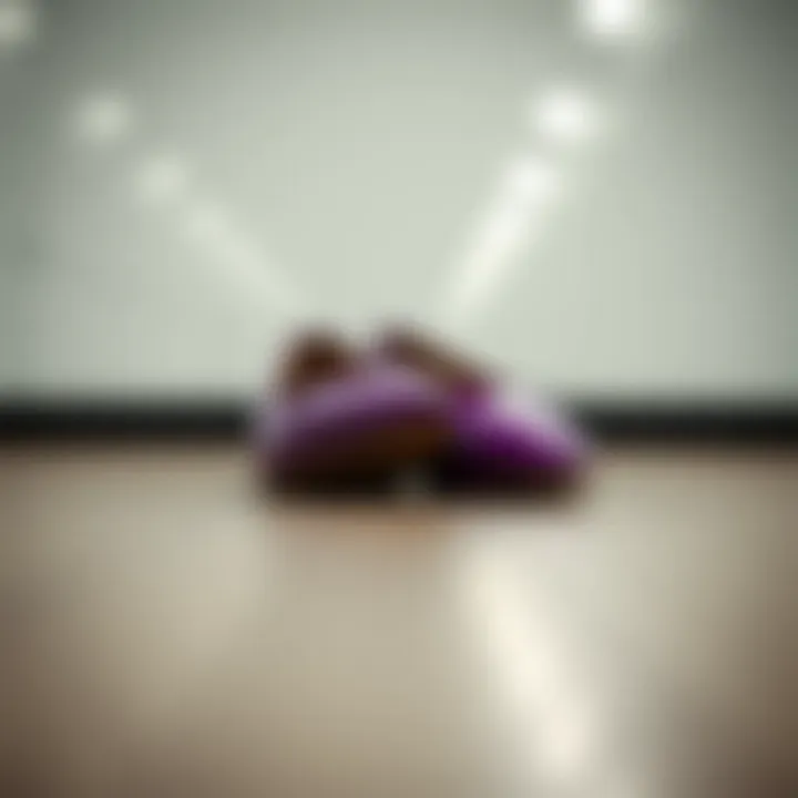 The Allure of Purple Pointed Toe Flats: A Comprehensive Exploration Summary