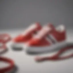 The Class and Comfort of Court Borough 2 Low Top Sneakers Introduction