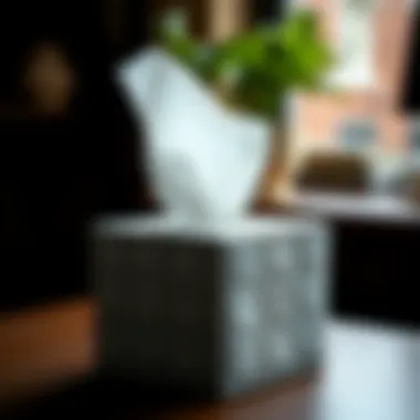 Notable The Significance of Felt Tissue Box Covers in Contemporary Design